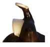 Horn white Rawhide Edge