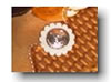 Rosette with white Rawhide